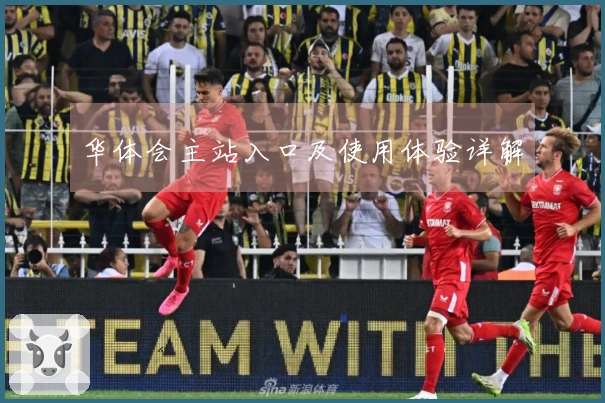 华体会主站入口及使用体验详解