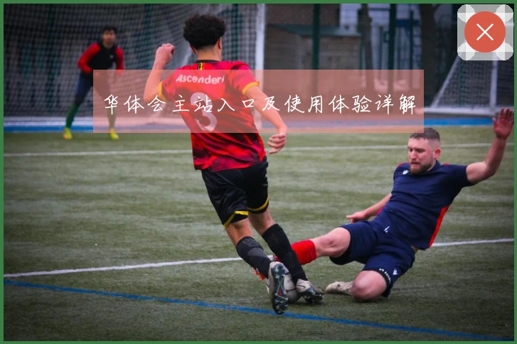 华体会主站入口及使用体验详解